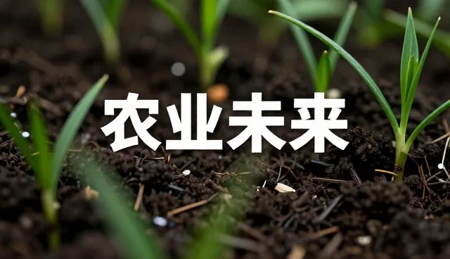 农产品视角下的农产品定制化方案