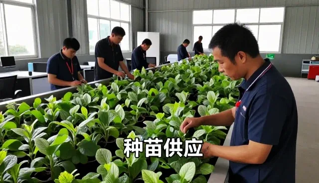 定制化方案技术：农业未来企业须知